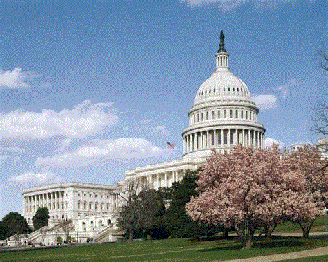 Congress “Saves” Medicaid and SNAP by Slicing DEI Out of Existence